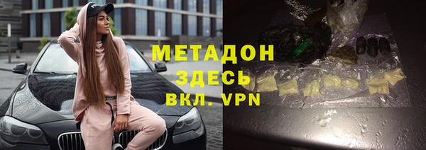сатива Беломорск