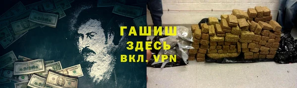 сатива Беломорск