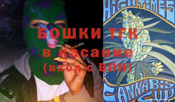 сатива Беломорск