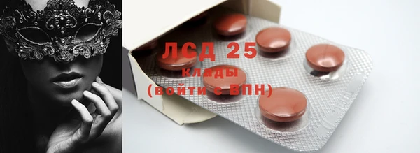 индика Пересвет