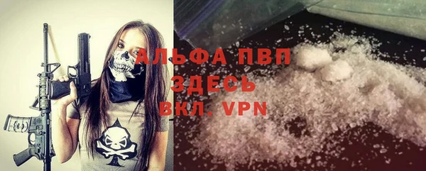 шишки Богданович