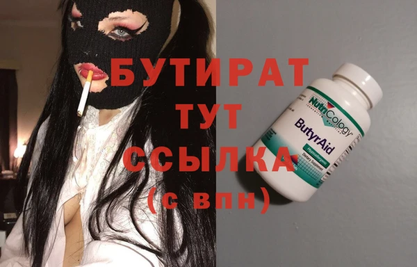 сатива Беломорск