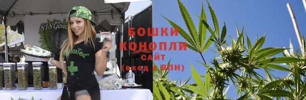 сатива Беломорск