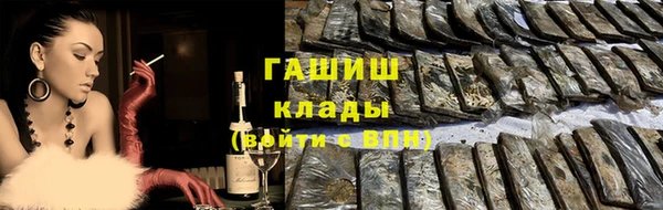 сатива Беломорск