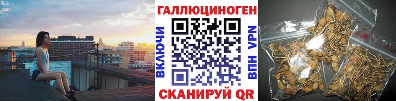 Галлюциногенные грибы мухоморы Болохово